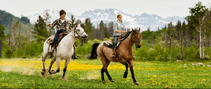 Confident plus-size woman riding Rochford a horse through a field with a smile on her face.